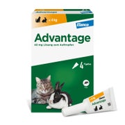 Produktabbildung: Advantage™ 40 mg Katze 4X0,4 ml
