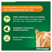 Advantage 40 mg Katzen und Zierkaninchen bis 4 kg 4X0,4 ml