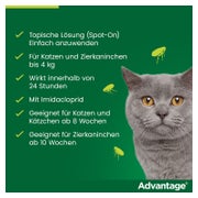 Advantage 40 mg Katzen und Zierkaninchen bis 4 kg 4X0,4 ml