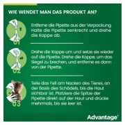 Advantage 40 mg Katzen und Zierkaninchen bis 4 kg 4X0,4 ml