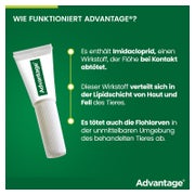 Advantage 40 mg Katzen und Zierkaninchen bis 4 kg 4X0,4 ml