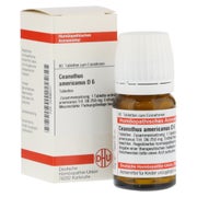 Ceanothus Americanus D 6 Tabletten 80 St