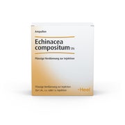 Produktabbildung: Echinacea Compositum SN Ampullen 10 St
