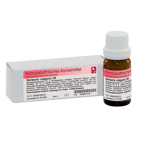 Dr. Reckeweg Berberis Vulgaris D6 Globuli 10 g