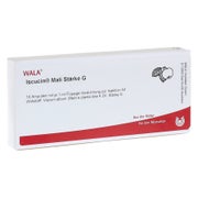 Iscucin mali Stärke G Ampullen 10X1 ml