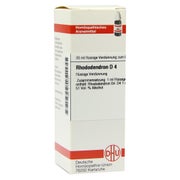 Produktabbildung: Rhododendron D 4 Dilution 20 ml
