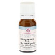Ledum Palustre D 12 Globuli 10 g