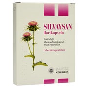 Silvaysan Kapseln 20 St