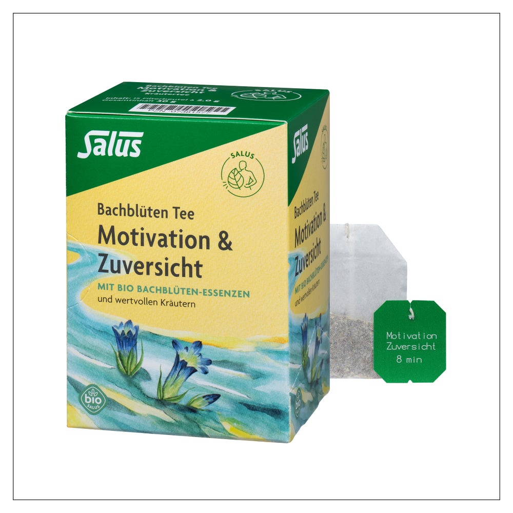 Salus Bachblüten Tee „Motivation & Zuversicht“ 15 St