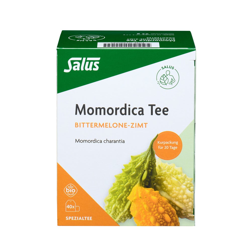 Momordica Charantia M.zimt Kräuterteemis 40 St