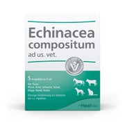 Echinacea Compositum ad us.vet.Ampullen 5 St