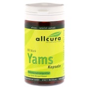 YAMS Kapseln 250 mg Yamspulver 60 St