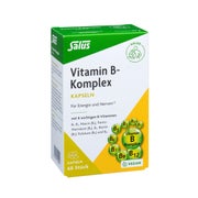 Produktabbildung: Salus Vitamin-B-Komplex Kapseln 60 St