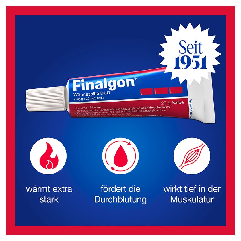 Finalgon Wärmesalbe DUO 20 g