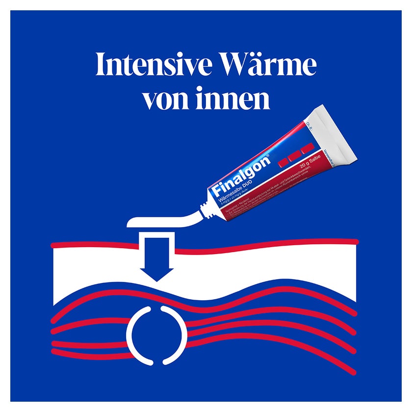 Finalgon Wärmesalbe DUO 20 g
