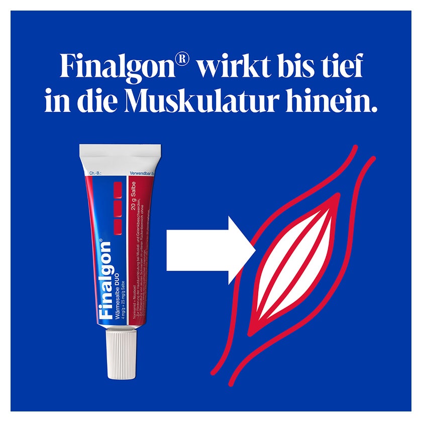 Finalgon Wärmesalbe DUO 20 g