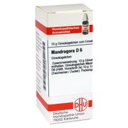 Mandragora D 6 Globuli 10 g