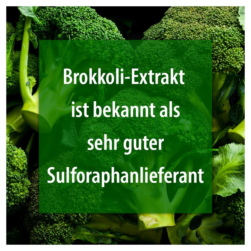 Brokkoli Kapseln 60 St