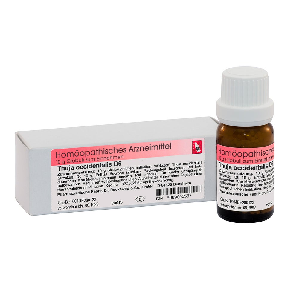 Dr. Reckeweg Thuja D6 Globuli 10 g