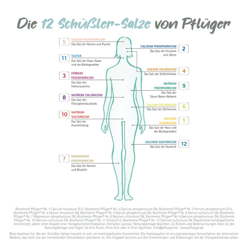 Biochemie Pflüger Schüßler-Salz Nr. 2 Calcium phosp. D6 400 St