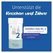 Biochemie Pflüger Schüßler-Salz Nr. 2 Calcium phosp. D6 400 St