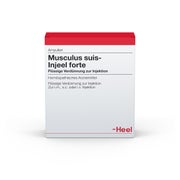 Musculus SUIS Injeel forte Ampullen 10 St