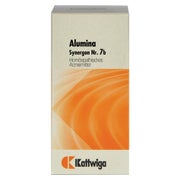 Synergon Komplex 7b Alumina Tabletten 100 St