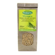 Biosnacky Weizengras 200 g