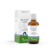 Produktabbildung: Nervoregin Tropfen 50 ml