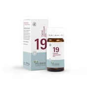 Produktabbildung: Schüßler-Salz Nr. 19 Cuprum arsenicosum D6 100 St