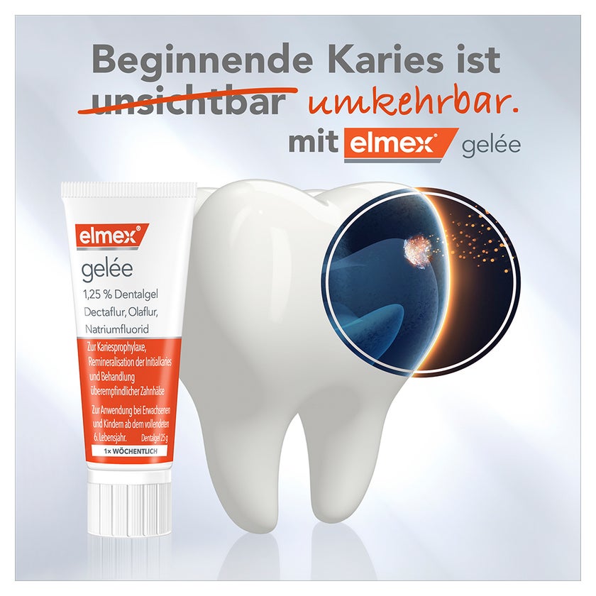 Elmex Gelee Zahngel mit Fluorid 25 g