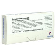 Astragalus Exscapus D 3 Ampullen 8X1 ml