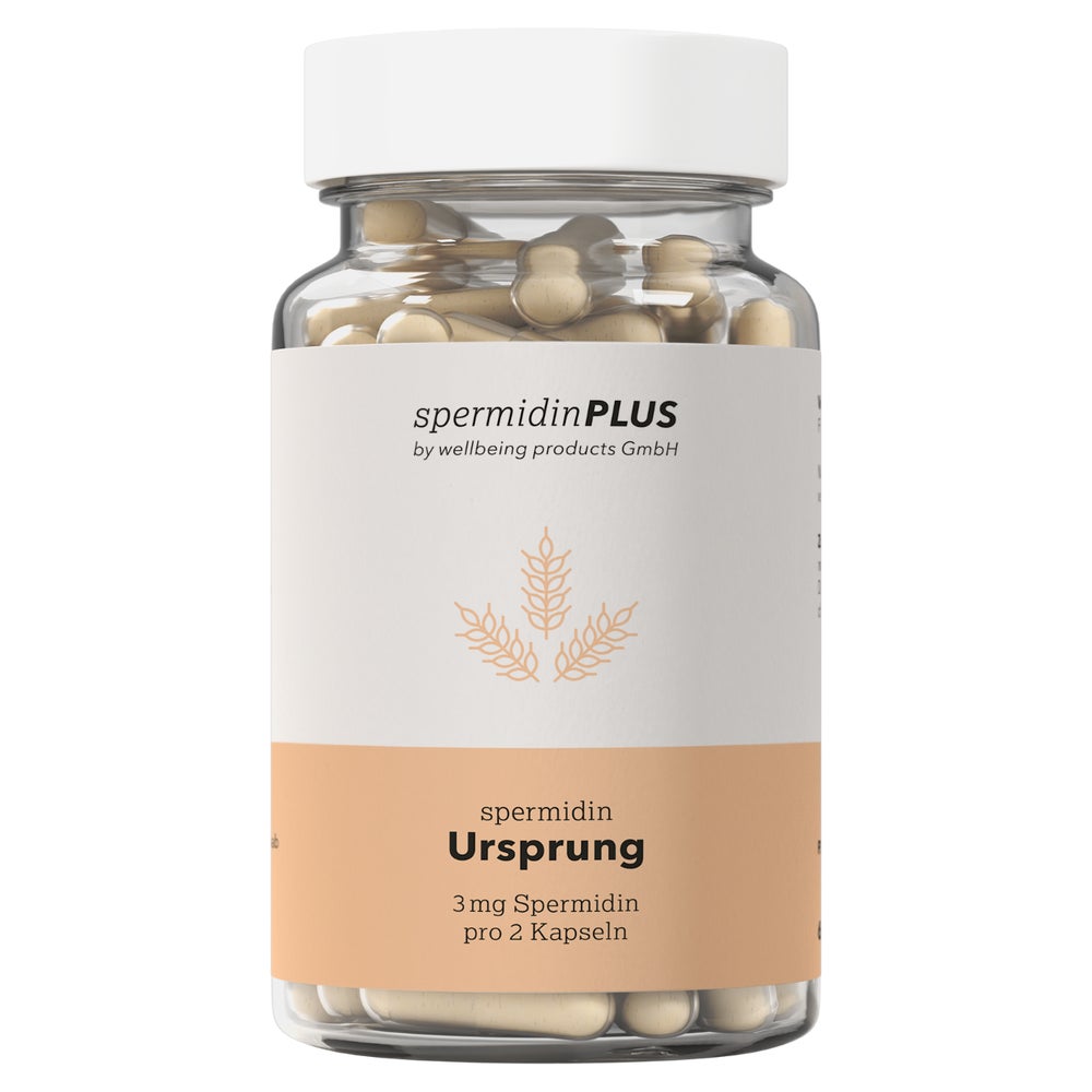 SpermidinPLUS Ursprung Kapseln für Zellen | Weizenkeim 60 St