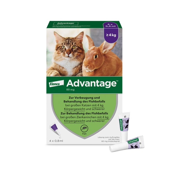 Advantage 80 mg Katzen und Zierkaninchen über 4 kg 4X0,8 ml