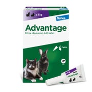 Advantage™ 80 mg Katze 4X0,8 ml