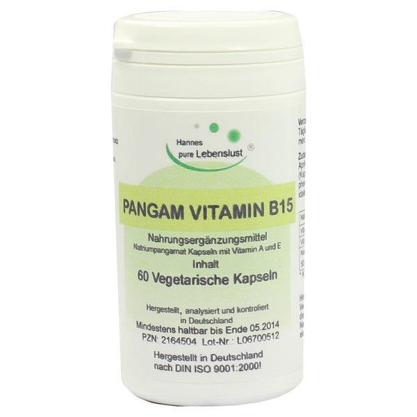 Pangam Vitamin B15 Kapseln 60 St