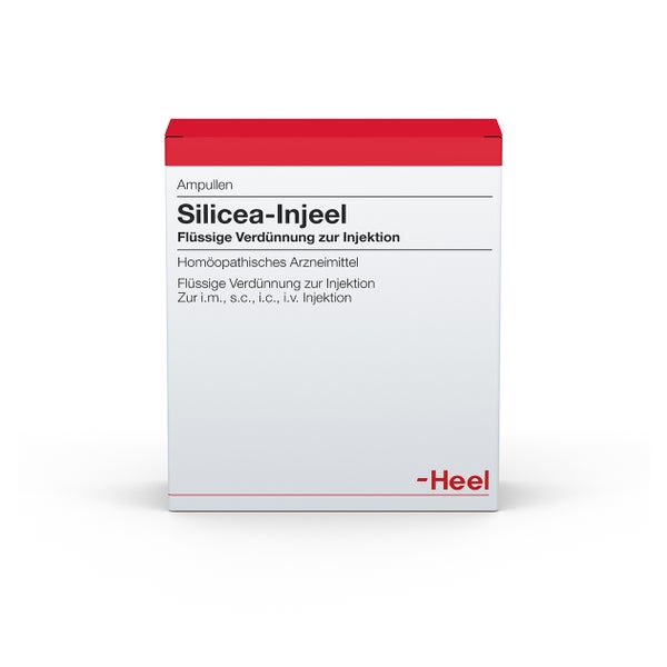 Silicea Injeel Ampullen 10 St