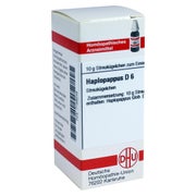 Haplopappus D 6 Globuli 10 g
