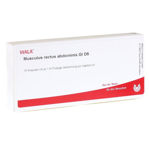 Musculus Rectus Abdominis GL D 5 Ampulle 10X1 ml