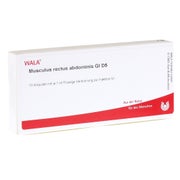 Musculus Rectus Abdominis GL D 5 Ampulle 10X1 ml