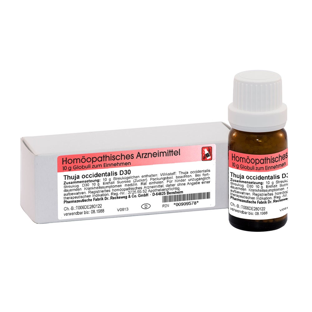 Dr. Reckeweg Thuja D30 Globuli 10 g