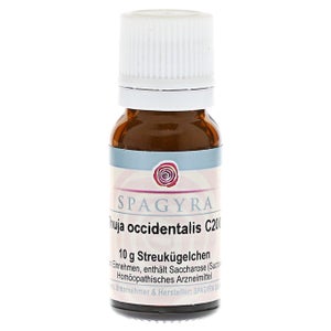 Thuja Occidentalis C 200 Globuli 10 g online kaufen | DocMorris