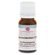 Thuja Occidentalis C 30 Globuli 10 g online kaufen | DocMorris