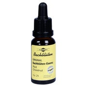 Bachblüten Murnauer Red Chestnut Tropfen 20 ml
