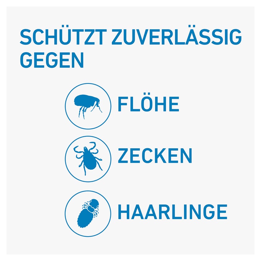 FRONTLINE SPOT-ON Katzen 6 St