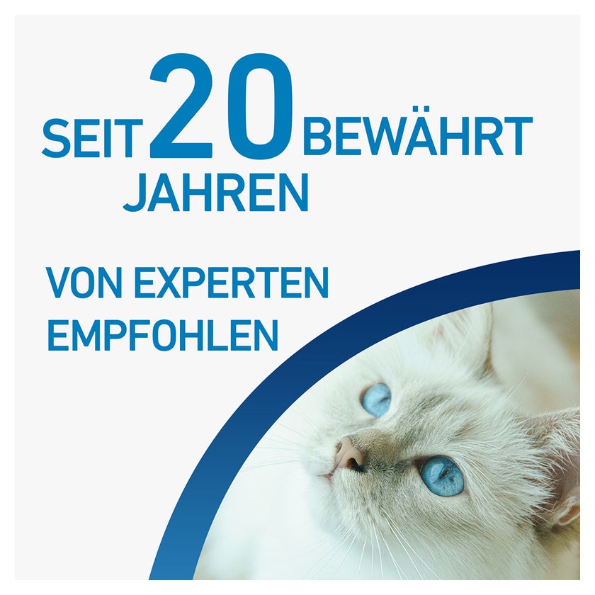 FRONTLINE SPOT-ON Katzen 6 St