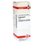 Condurango Urtinktur D 1 20 ml