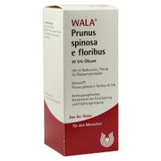 Produktabbildung: Prunus Spinosa E floribus W5% Oleum 100 ml