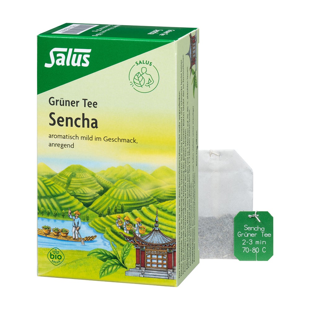 Grüner TEE Bio Salus Filterbeutel 15 St