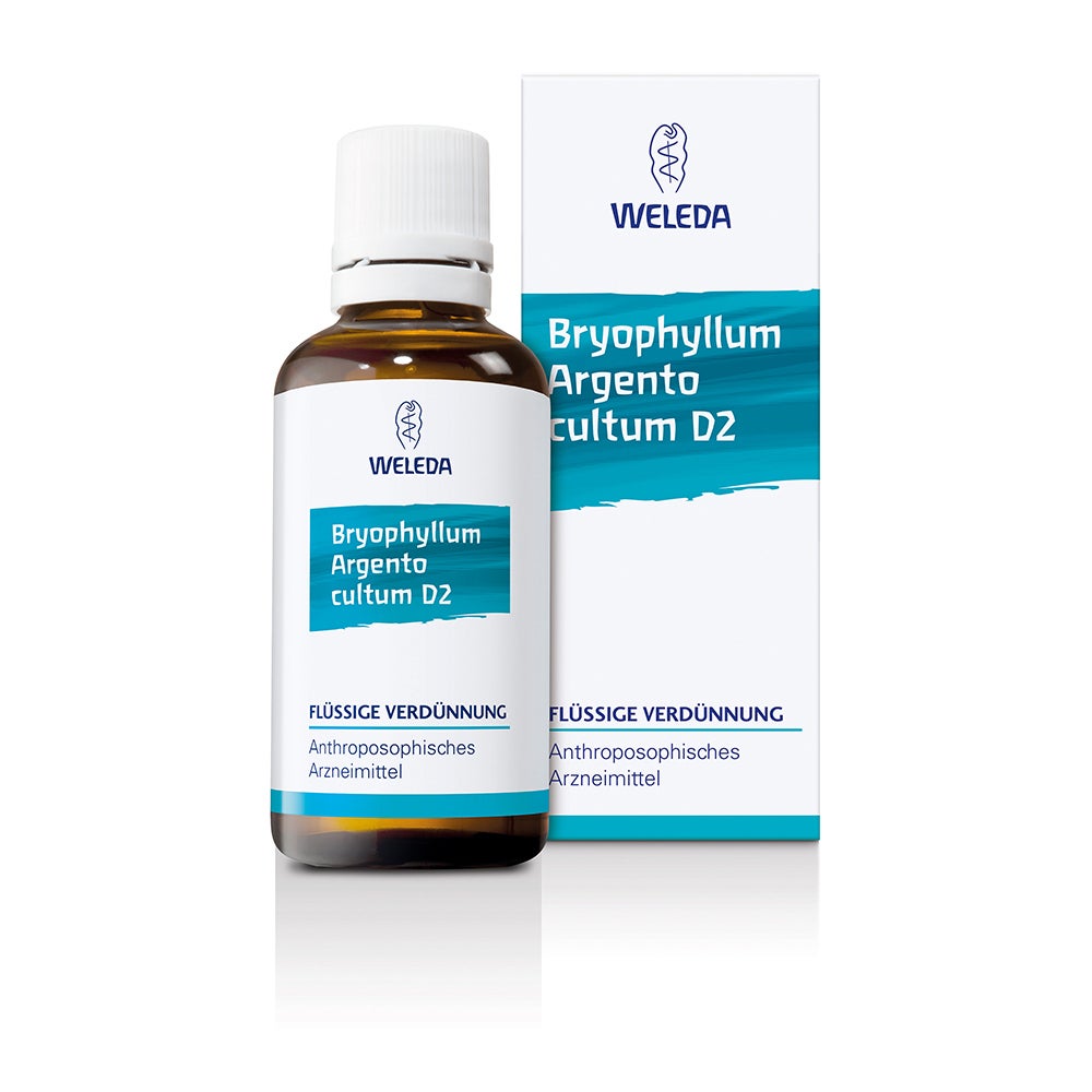Bryophyllum Argento Cultum D 3 Dilution 50 ml
